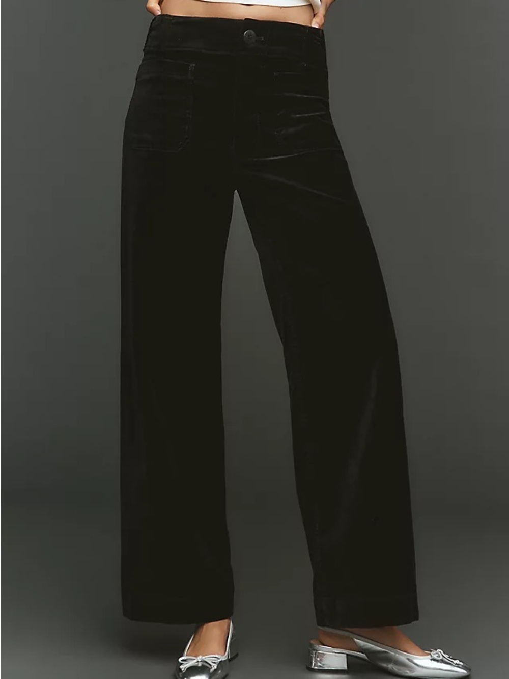 Anthropologie Maeve Colette Velvet Wide Leg Full Length Pants in Black